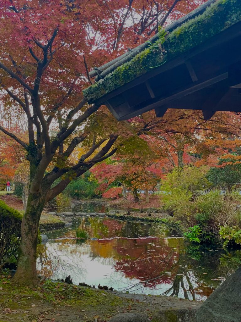 偕楽園　もみじ谷